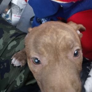 Meet your Posher, Jacob